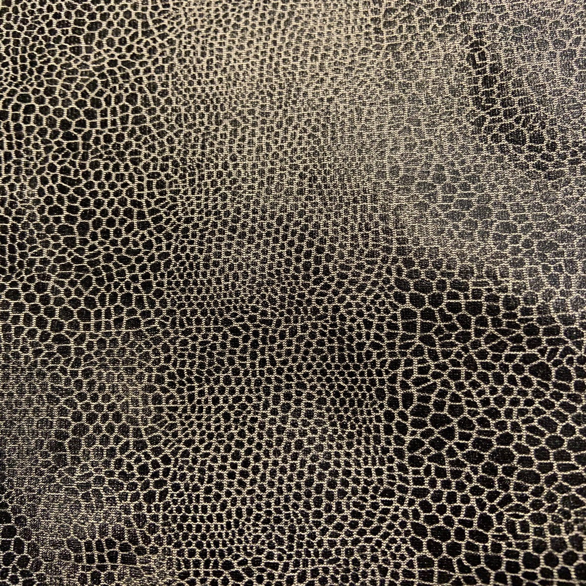 Black and White Snakeskin Legging - Jacqueline B Clothing