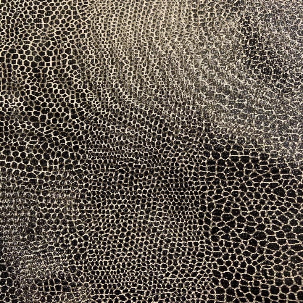 Black and White Snakeskin Legging - Jacqueline B Clothing